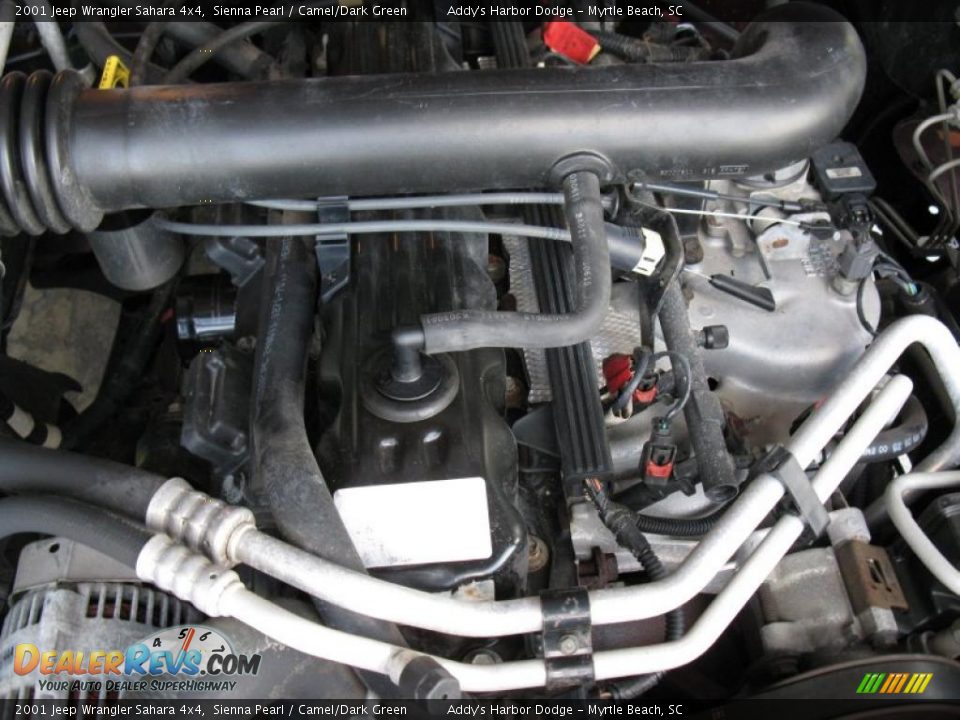 2001 Jeep Wrangler Sahara 4x4 Sienna Pearl / Camel/Dark Green Photo #23