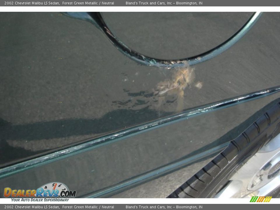 2002 Chevrolet Malibu LS Sedan Forest Green Metallic / Neutral Photo #10