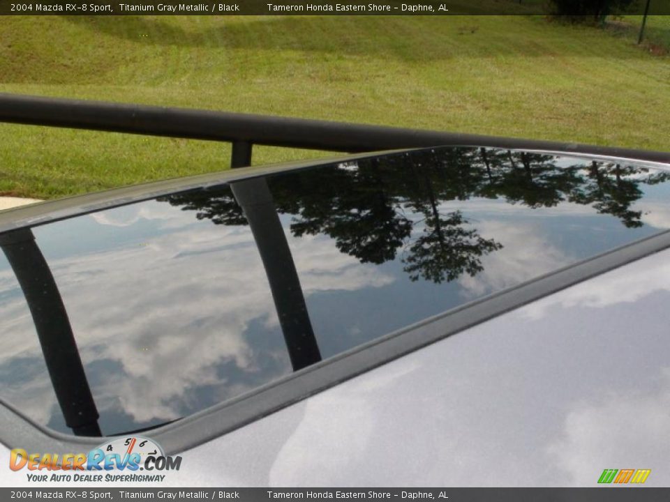 2004 Mazda RX-8 Sport Titanium Gray Metallic / Black Photo #14