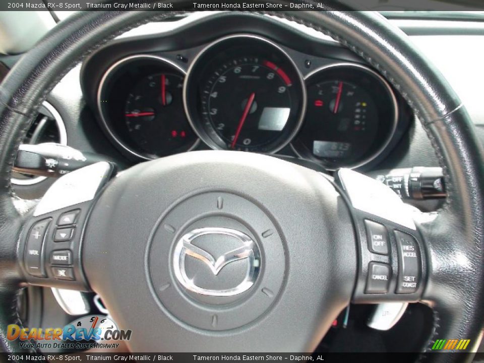 2004 Mazda RX-8 Sport Titanium Gray Metallic / Black Photo #20