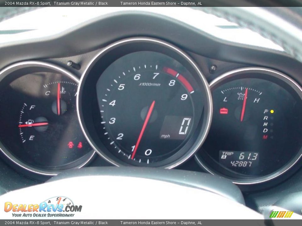2004 Mazda RX-8 Sport Titanium Gray Metallic / Black Photo #21