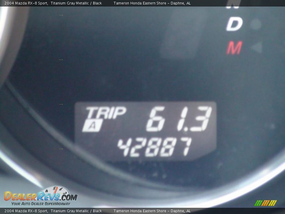2004 Mazda RX-8 Sport Titanium Gray Metallic / Black Photo #22