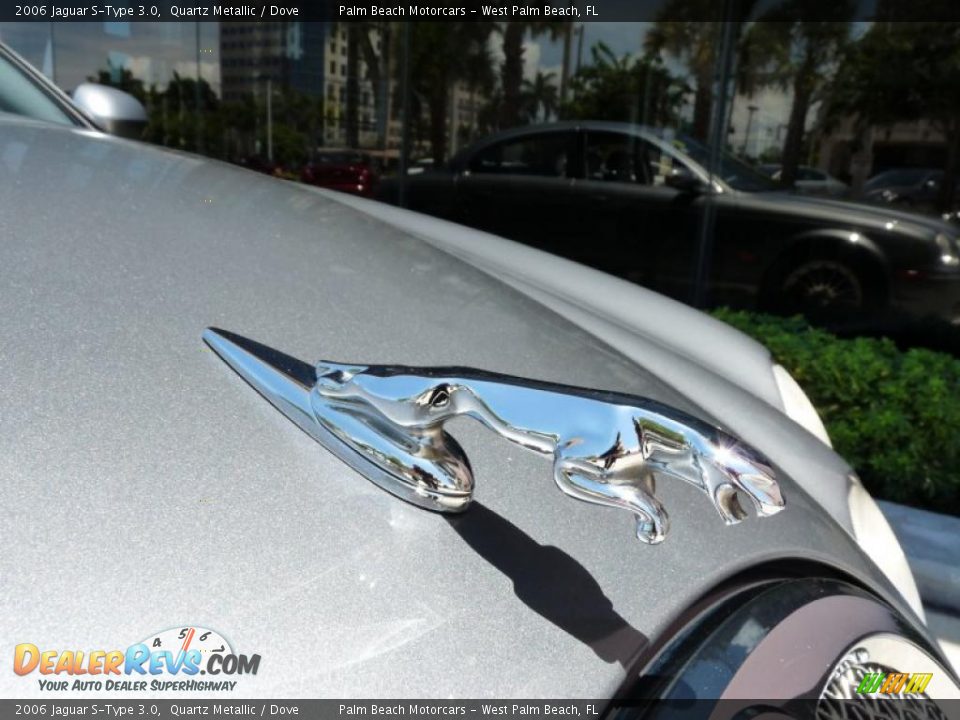 2006 Jaguar S-Type 3.0 Quartz Metallic / Dove Photo #15
