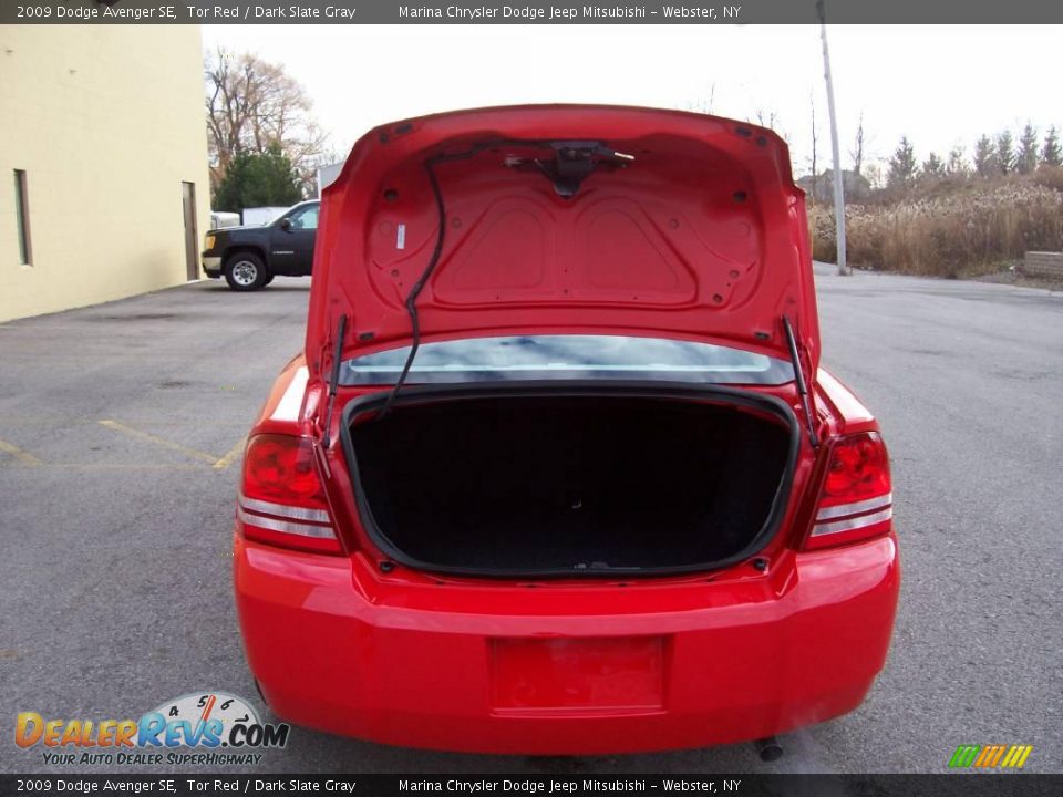 2009 Dodge Avenger SE Tor Red / Dark Slate Gray Photo #9