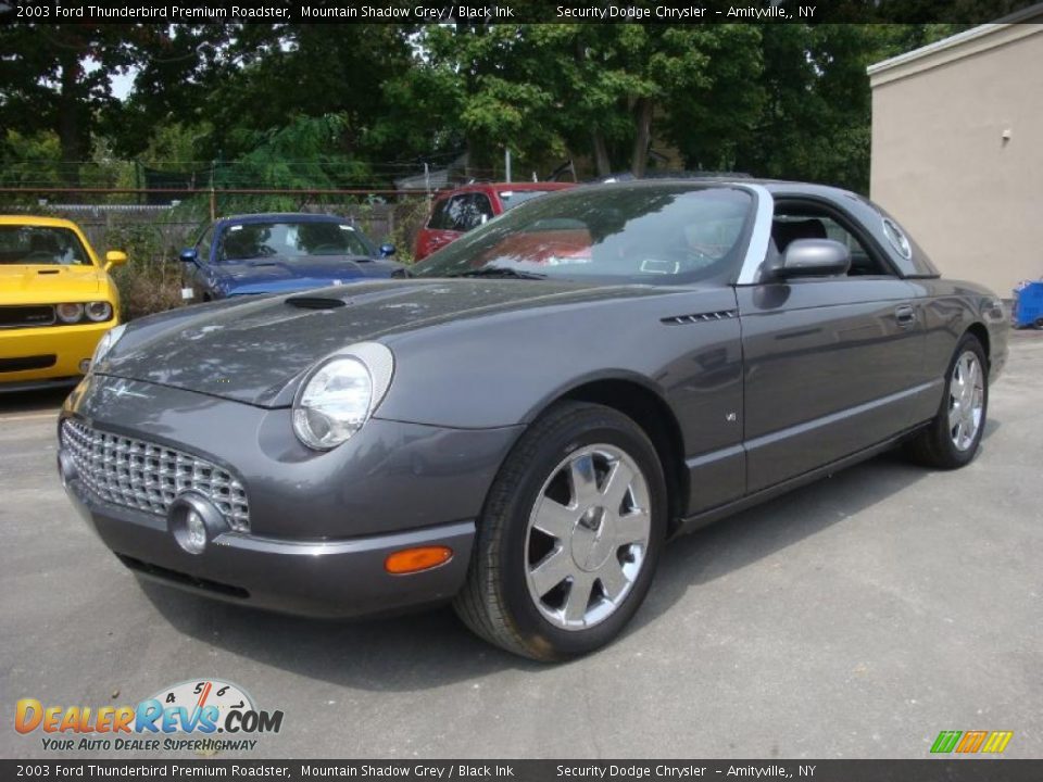 2003 Ford Thunderbird Premium Roadster Mountain Shadow Grey / Black Ink Photo #1