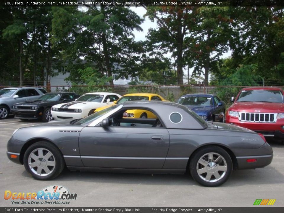 2003 Ford Thunderbird Premium Roadster Mountain Shadow Grey / Black Ink Photo #2