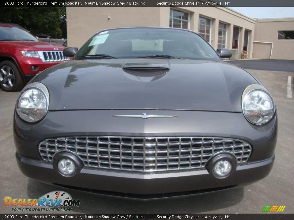 2003 Ford Thunderbird Premium Roadster Mountain Shadow Grey / Black Ink Photo #3
