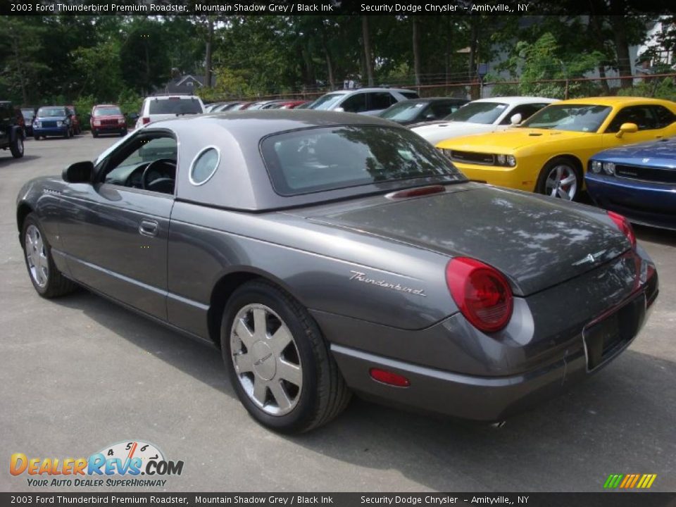 2003 Ford Thunderbird Premium Roadster Mountain Shadow Grey / Black Ink Photo #4