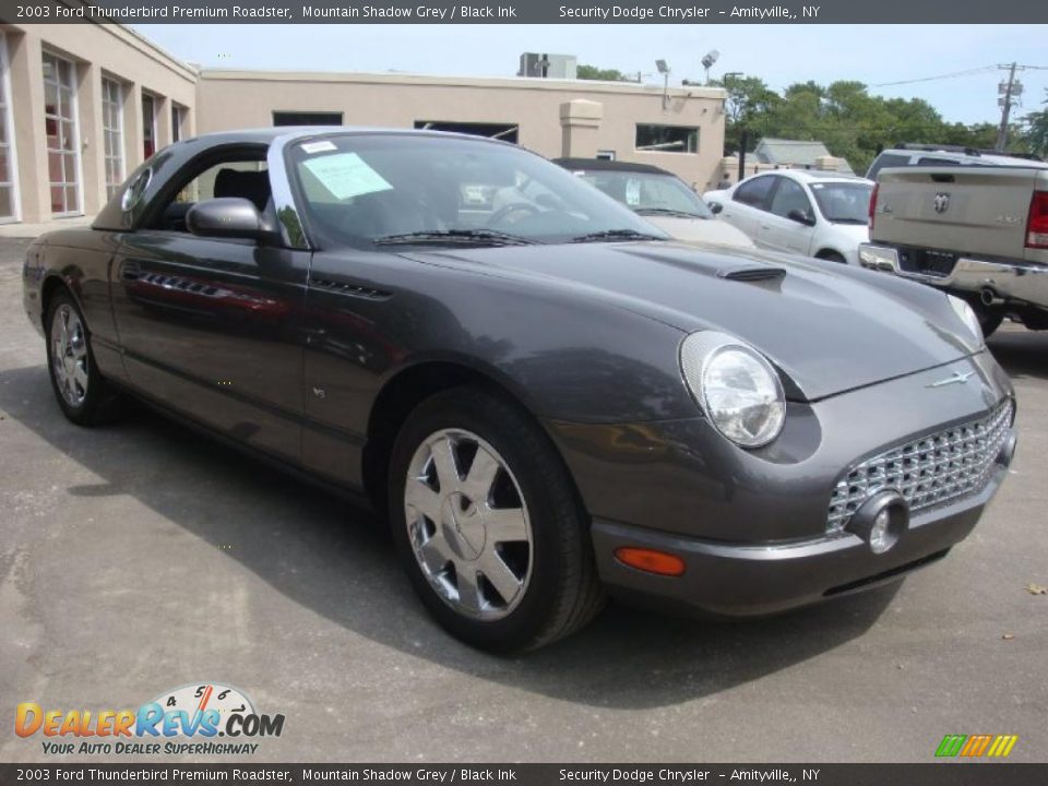 2003 Ford Thunderbird Premium Roadster Mountain Shadow Grey / Black Ink Photo #7