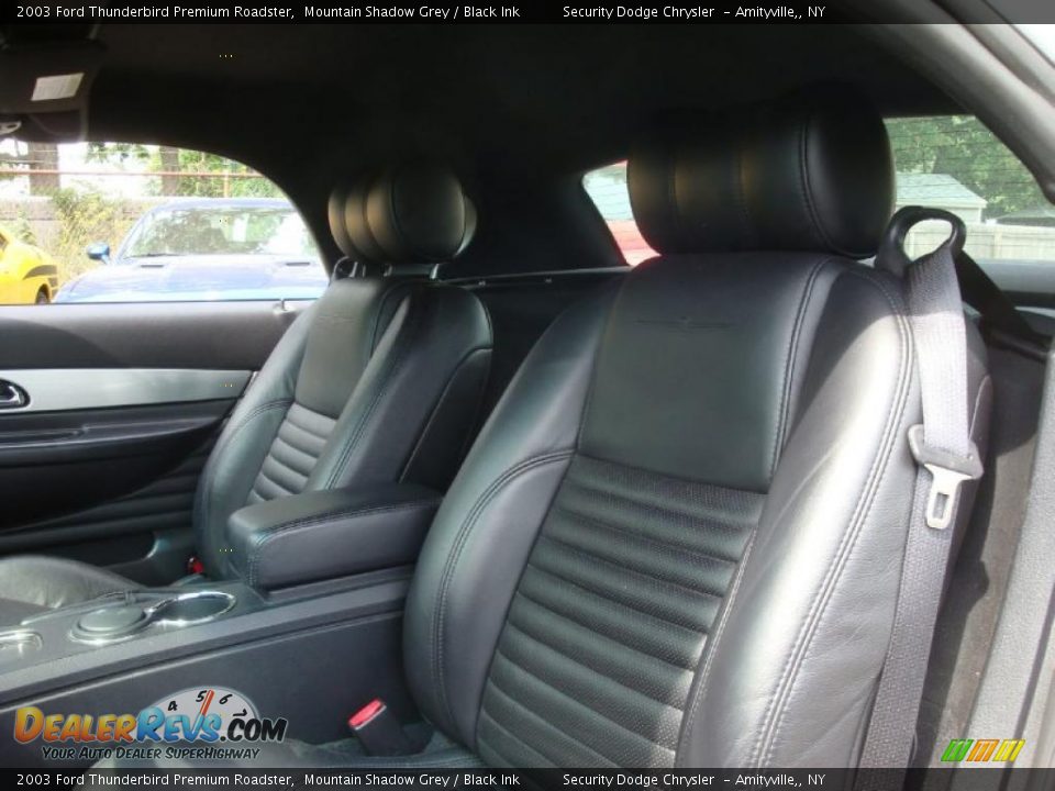 2003 Ford Thunderbird Premium Roadster Mountain Shadow Grey / Black Ink Photo #10