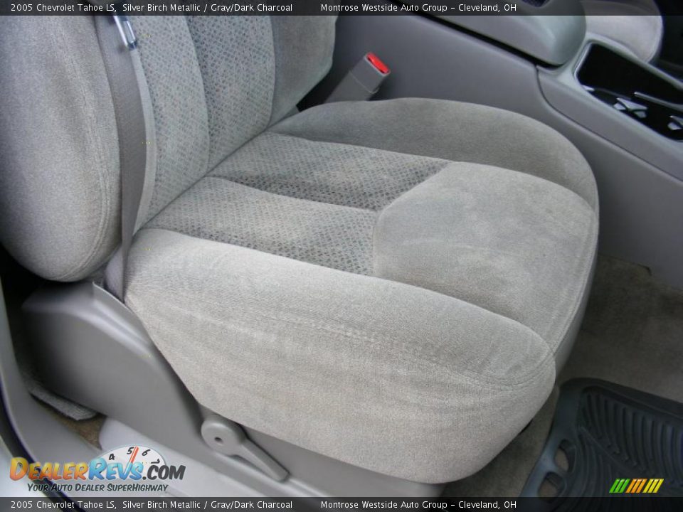 2005 Chevrolet Tahoe LS Silver Birch Metallic / Gray/Dark Charcoal Photo #15
