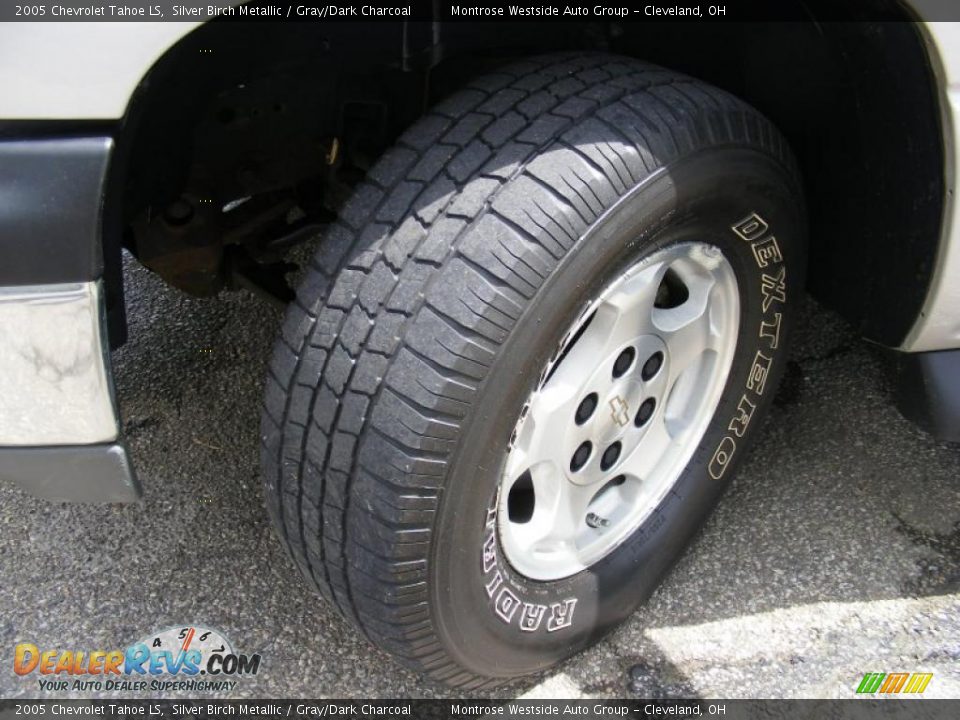 2005 Chevrolet Tahoe LS Silver Birch Metallic / Gray/Dark Charcoal Photo #28
