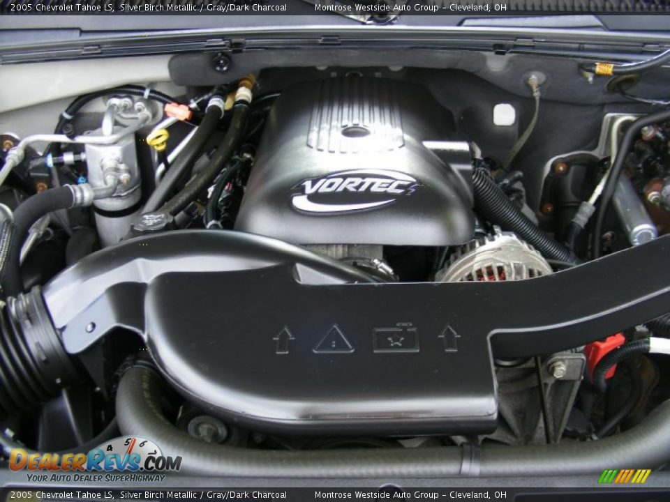 2005 Chevrolet Tahoe LS Silver Birch Metallic / Gray/Dark Charcoal Photo #29