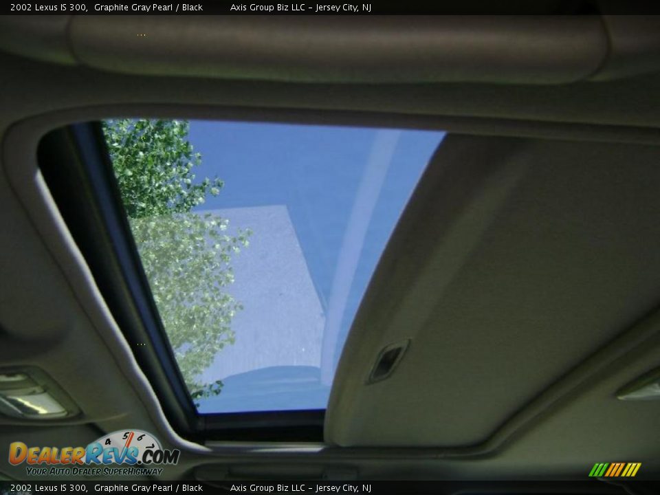 2002 Lexus IS 300 Graphite Gray Pearl / Black Photo #23