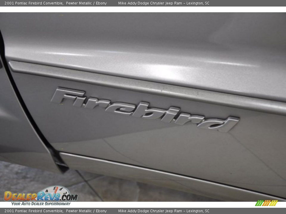 2001 Pontiac Firebird Convertible Pewter Metallic / Ebony Photo #6