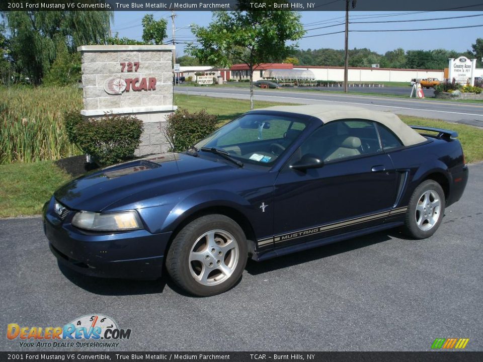 2001 Ford Mustang V6 Convertible True Blue Metallic / Medium Parchment Photo #1