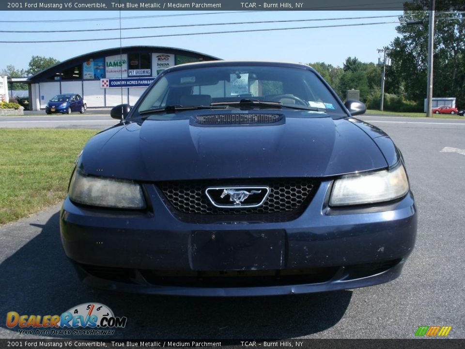2001 Ford Mustang V6 Convertible True Blue Metallic / Medium Parchment Photo #2