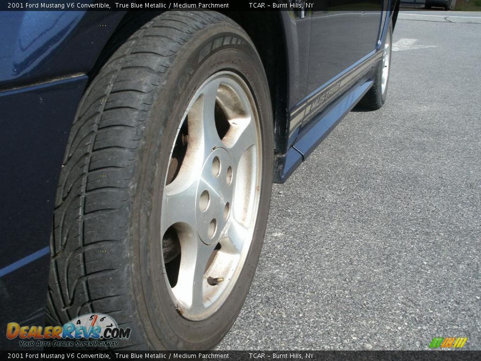 2001 Ford Mustang V6 Convertible True Blue Metallic / Medium Parchment Photo #3