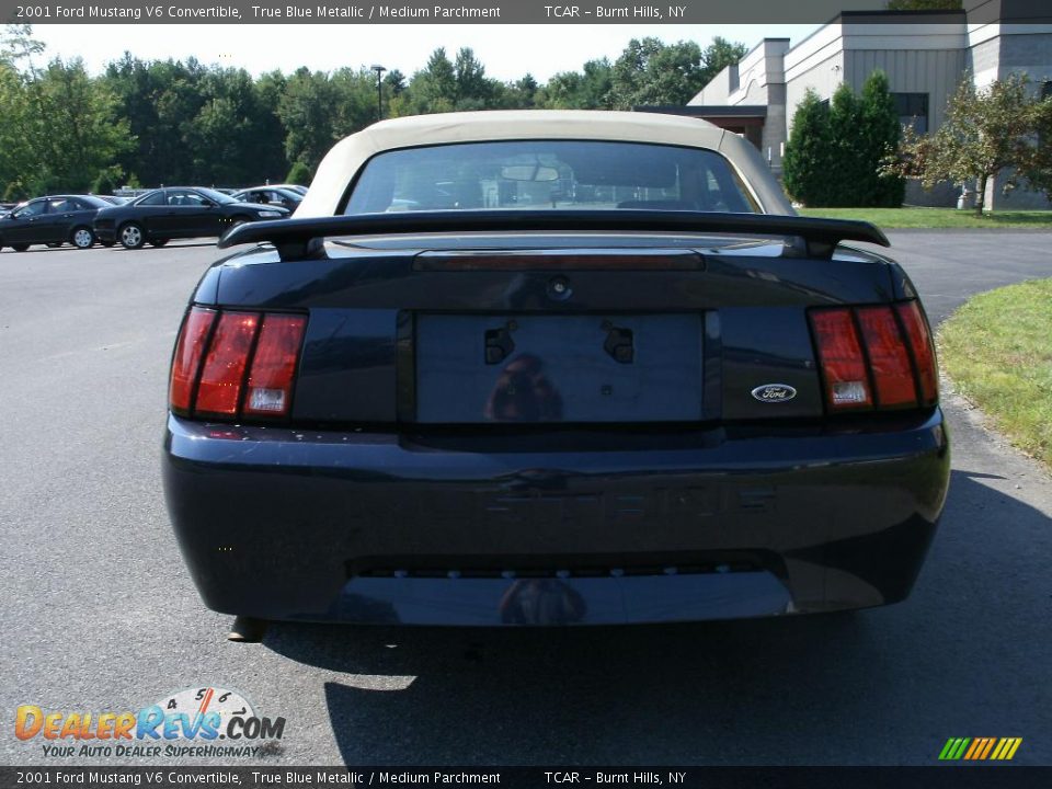 2001 Ford Mustang V6 Convertible True Blue Metallic / Medium Parchment Photo #5