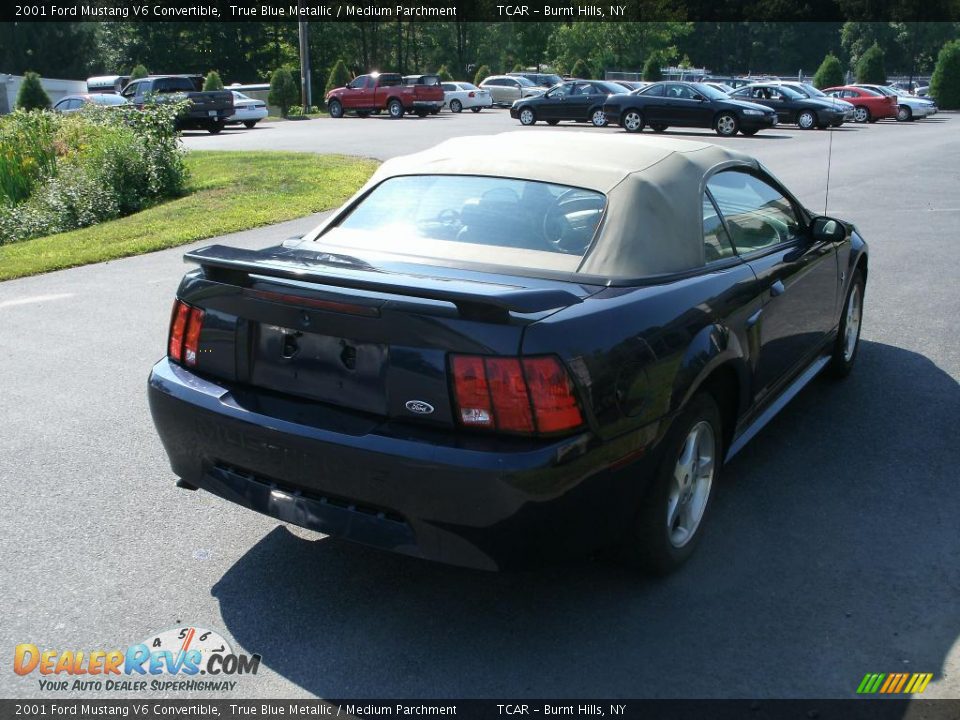 2001 Ford Mustang V6 Convertible True Blue Metallic / Medium Parchment Photo #6