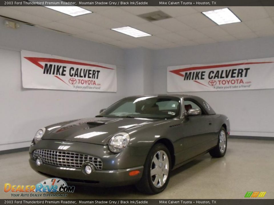 2003 Ford Thunderbird Premium Roadster Mountain Shadow Grey / Black Ink/Saddle Photo #1