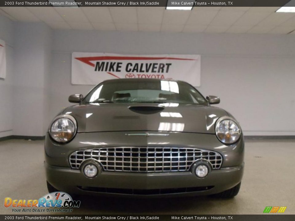 2003 Ford Thunderbird Premium Roadster Mountain Shadow Grey / Black Ink/Saddle Photo #2