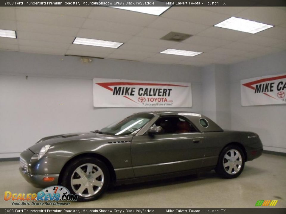 2003 Ford Thunderbird Premium Roadster Mountain Shadow Grey / Black Ink/Saddle Photo #3