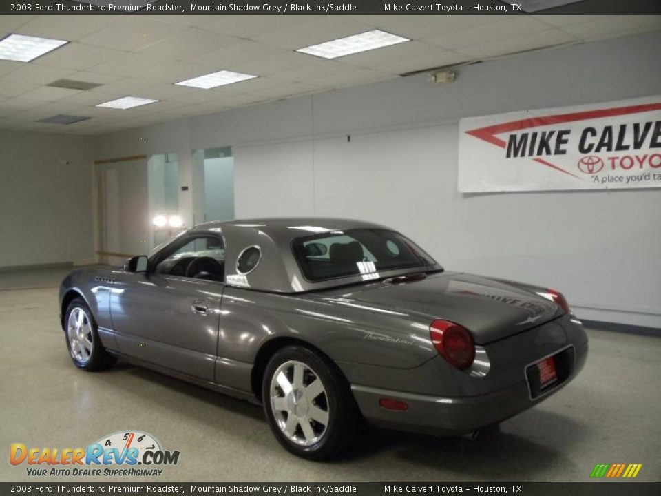 2003 Ford Thunderbird Premium Roadster Mountain Shadow Grey / Black Ink/Saddle Photo #5