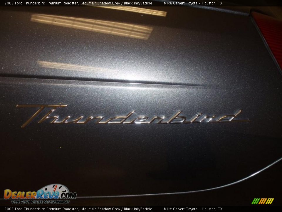 2003 Ford Thunderbird Premium Roadster Mountain Shadow Grey / Black Ink/Saddle Photo #6