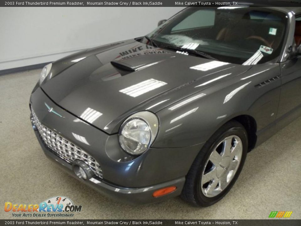 2003 Ford Thunderbird Premium Roadster Mountain Shadow Grey / Black Ink/Saddle Photo #7