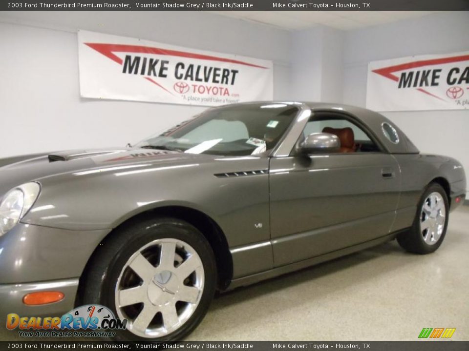 2003 Ford Thunderbird Premium Roadster Mountain Shadow Grey / Black Ink/Saddle Photo #8