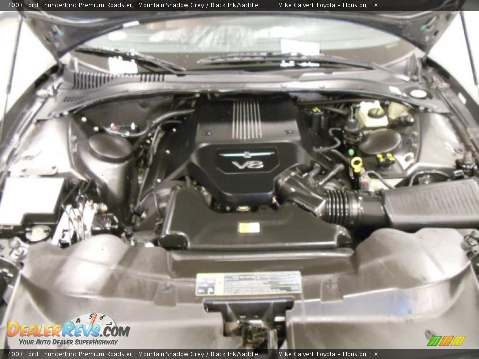 2003 Ford Thunderbird Premium Roadster Mountain Shadow Grey / Black Ink/Saddle Photo #15