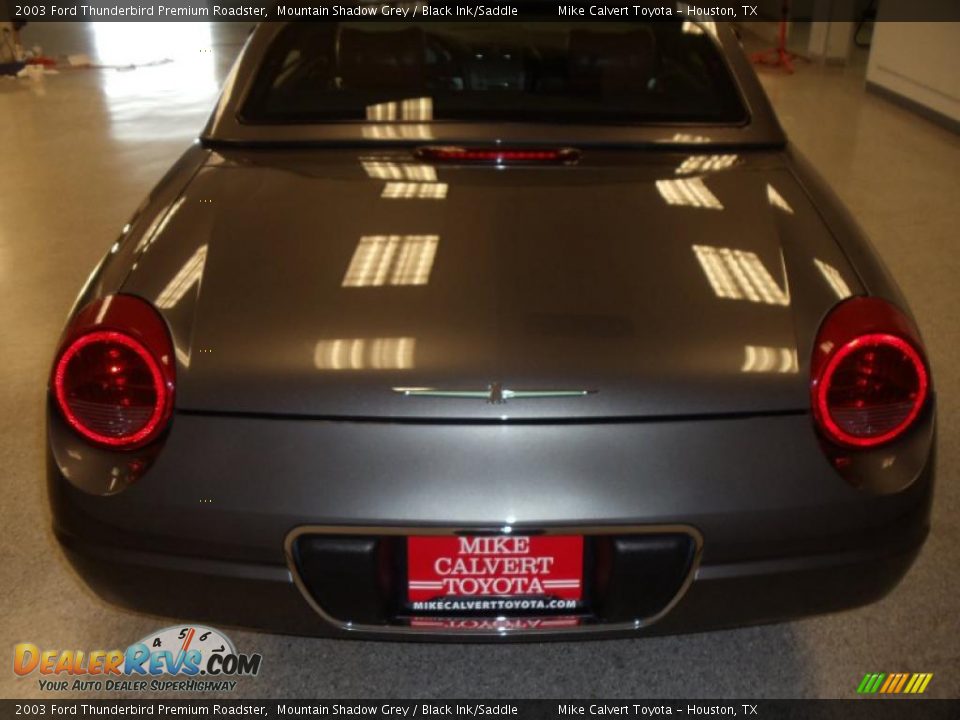 2003 Ford Thunderbird Premium Roadster Mountain Shadow Grey / Black Ink/Saddle Photo #22