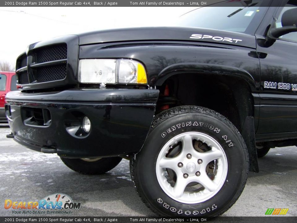 2001 Dodge Ram 1500 Sport Regular Cab 4x4 Black / Agate Photo #2