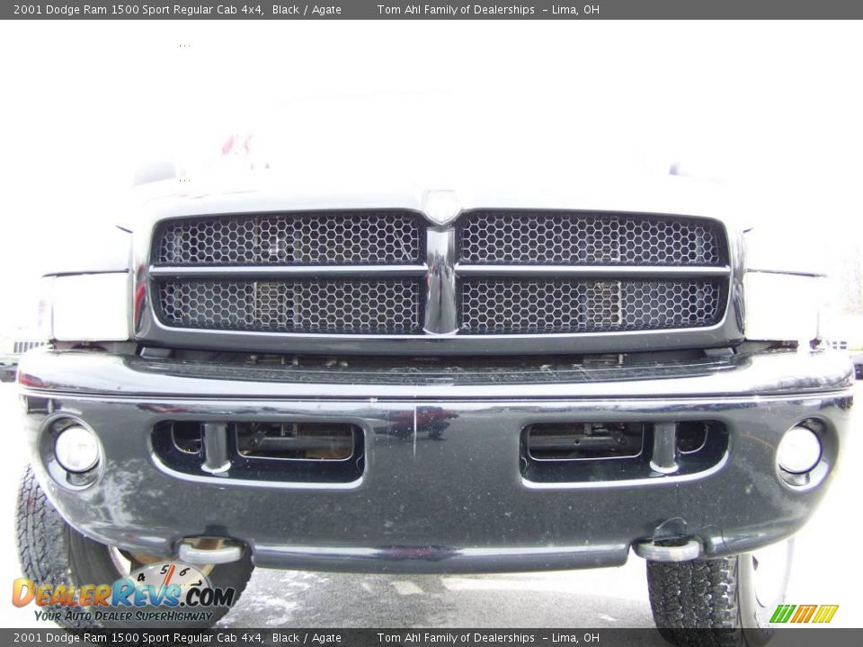 2001 Dodge Ram 1500 Sport Regular Cab 4x4 Black / Agate Photo #3