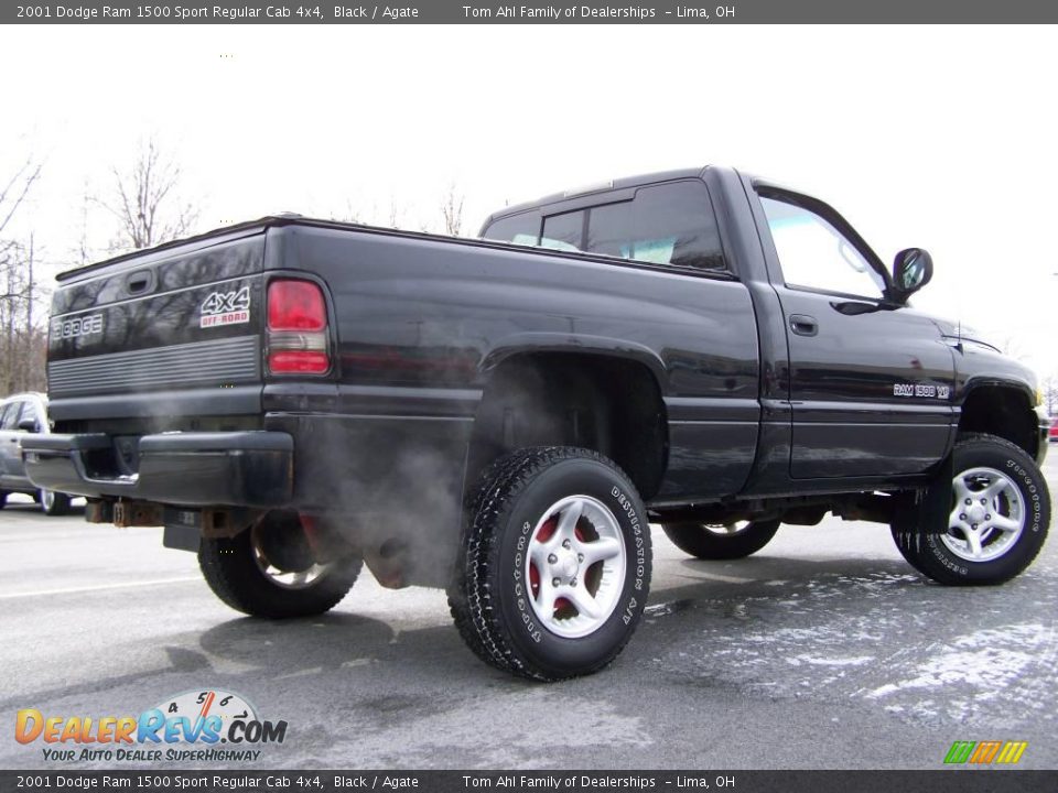 2001 Dodge Ram 1500 Sport Regular Cab 4x4 Black / Agate Photo #4