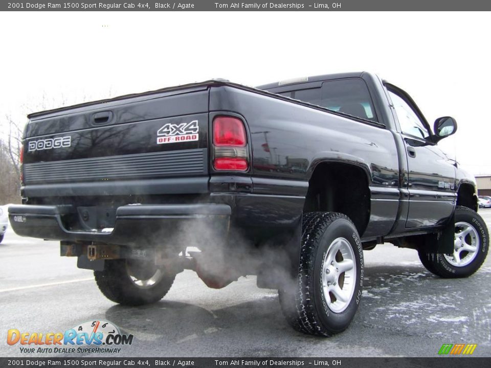 2001 Dodge Ram 1500 Sport Regular Cab 4x4 Black / Agate Photo #5