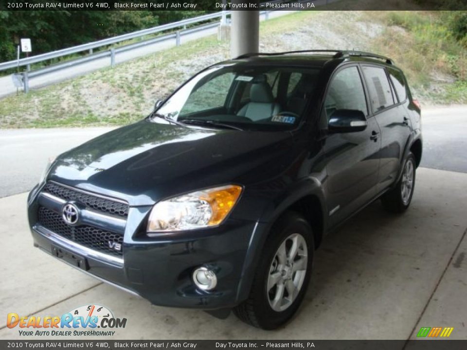 toyota rav4 2010 black forest pearl #4