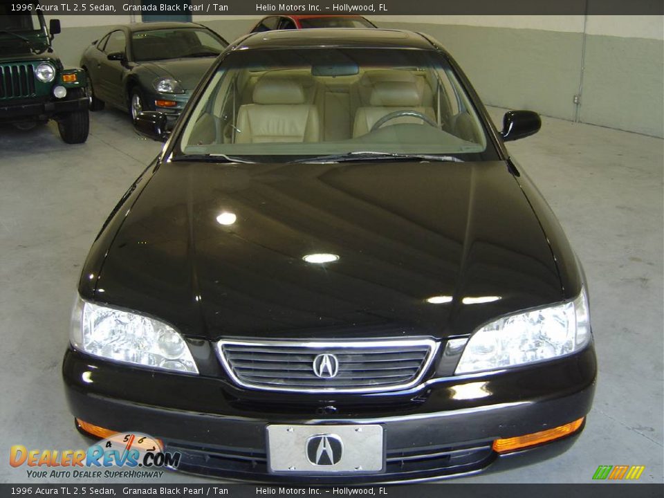 1996 Acura TL 2.5 Sedan Granada Black Pearl / Tan Photo #10