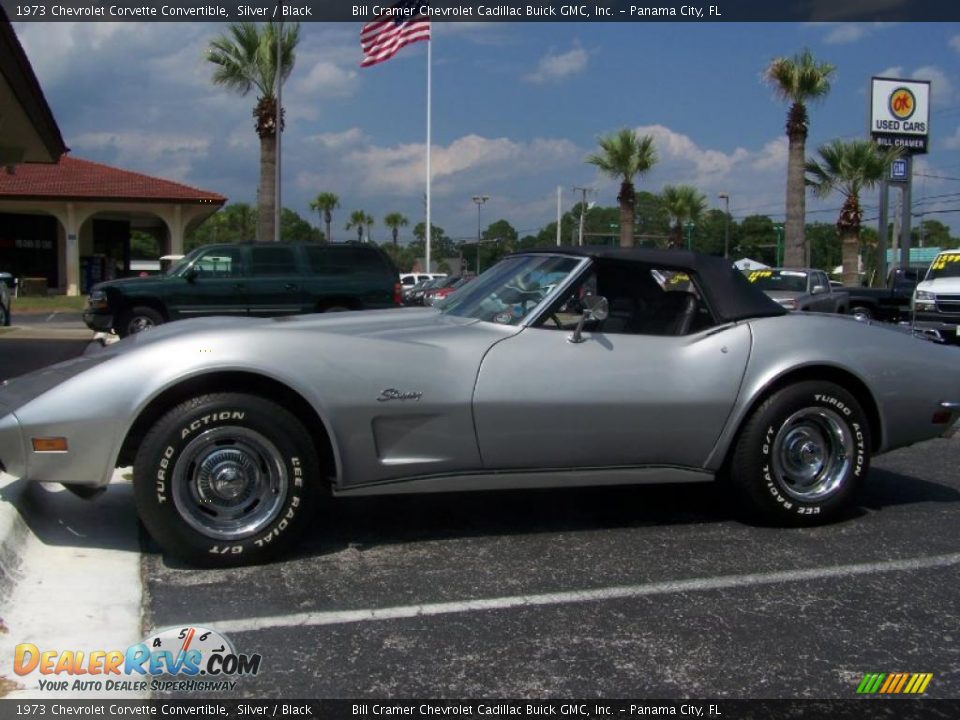 1973 Chevrolet Corvette Convertible Silver / Black Photo #1