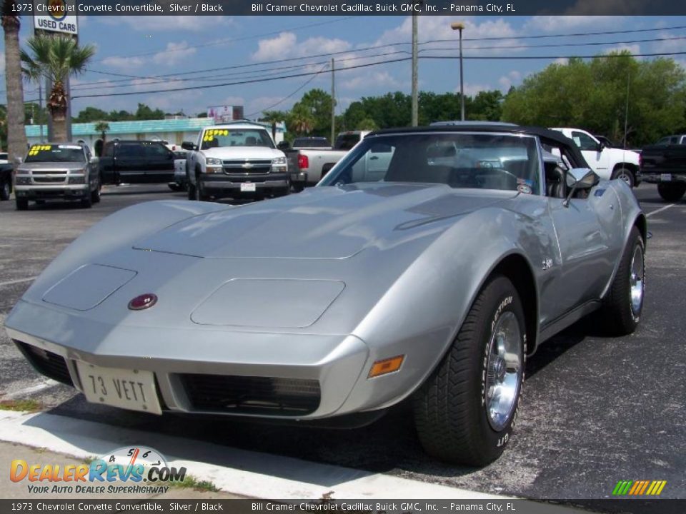 1973 Chevrolet Corvette Convertible Silver / Black Photo #2