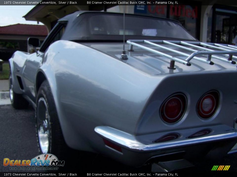 1973 Chevrolet Corvette Convertible Silver / Black Photo #6