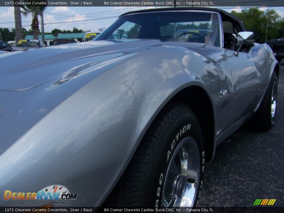 1973 Chevrolet Corvette Convertible Silver / Black Photo #7