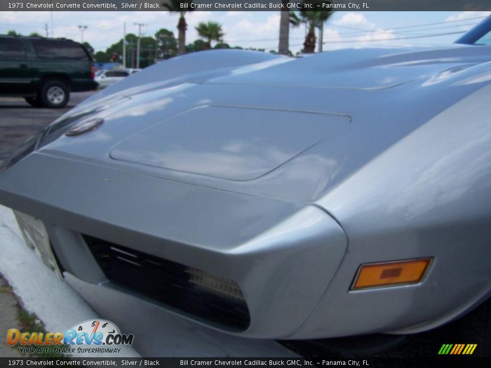 1973 Chevrolet Corvette Convertible Silver / Black Photo #8