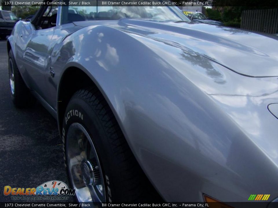 1973 Chevrolet Corvette Convertible Silver / Black Photo #13