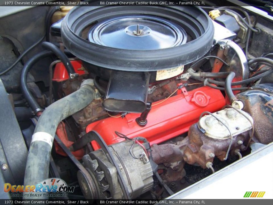 1973 Chevrolet Corvette Convertible Silver / Black Photo #31