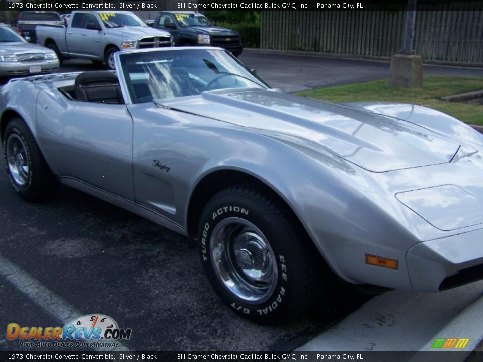 1973 Chevrolet Corvette Convertible Silver / Black Photo #35