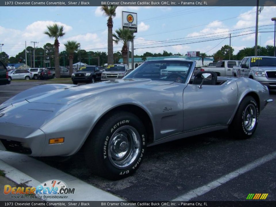 1973 Chevrolet Corvette Convertible Silver / Black Photo #36