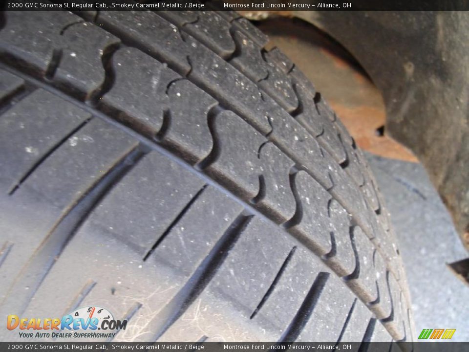 2000 GMC Sonoma SL Regular Cab Smokey Caramel Metallic / Beige Photo #10