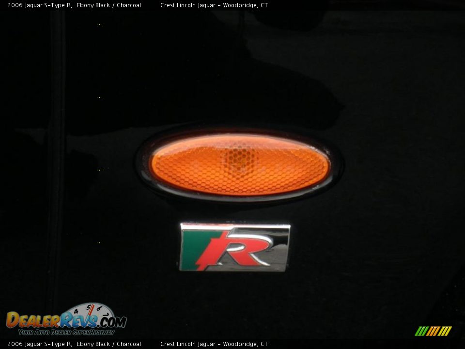 2006 Jaguar S-Type R Logo Photo #14